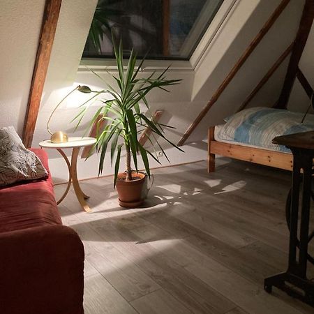 Privates Appartment Ferienwohnung Im Einfamilienhaus Düsseldorf Exteriér fotografie