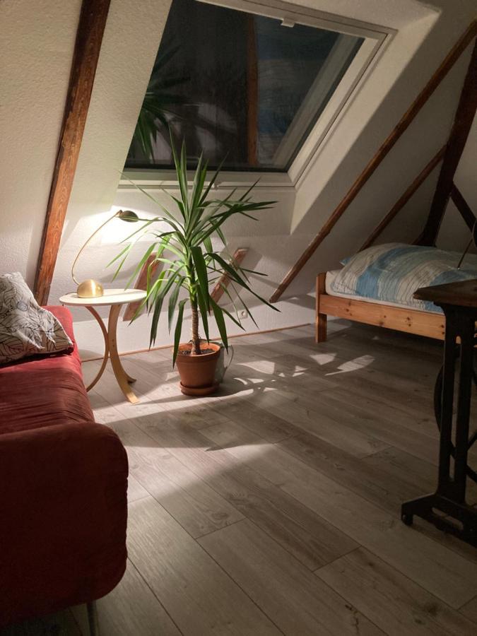 Privates Appartment Ferienwohnung Im Einfamilienhaus Düsseldorf Exteriér fotografie